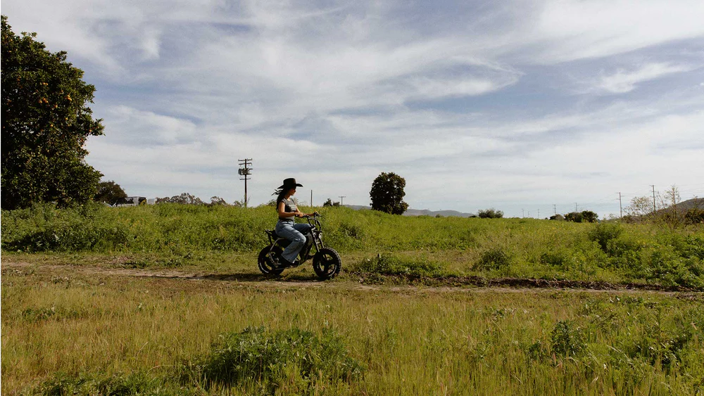Rider crossing an open field at golden hour