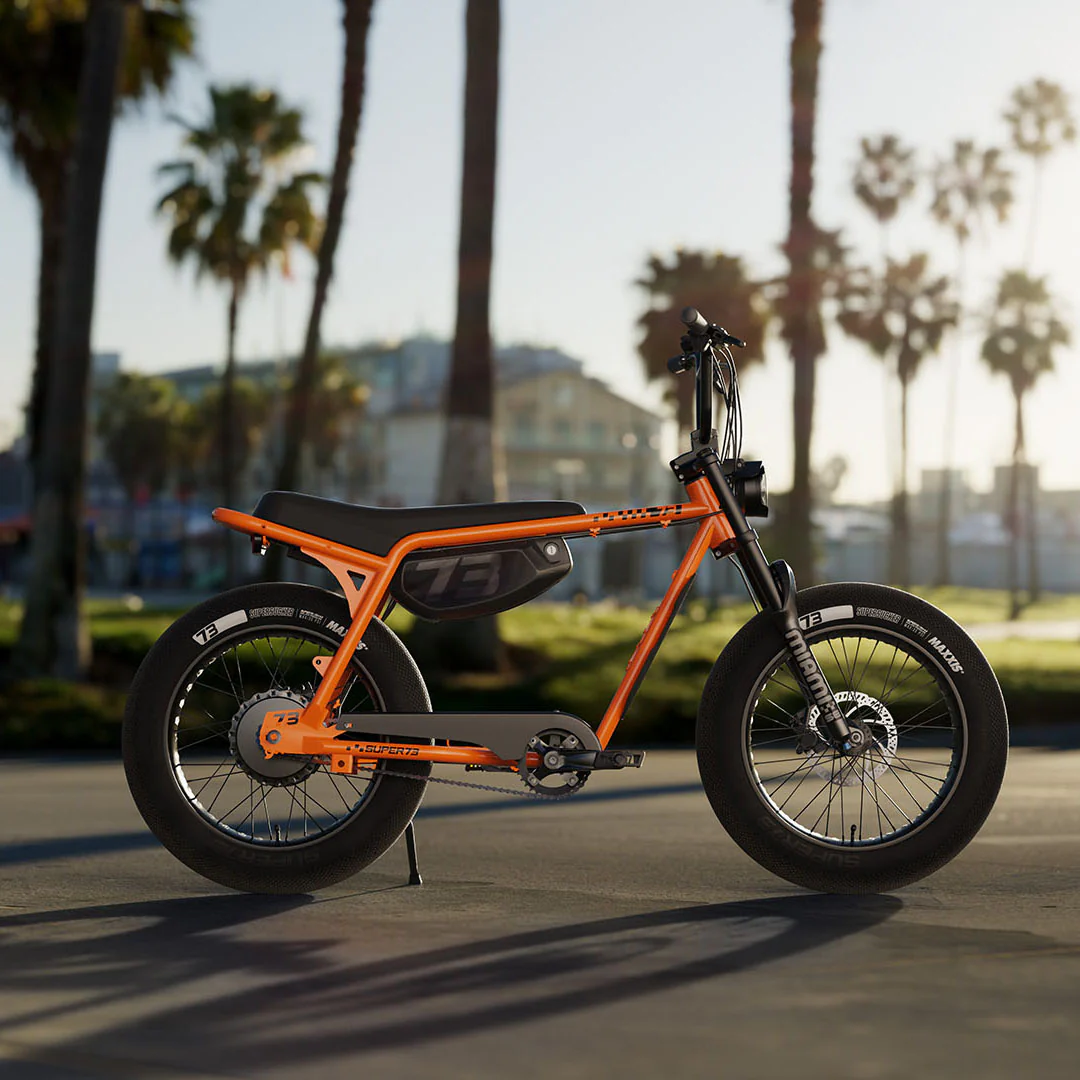 Coastal ride at golden hour